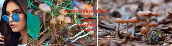 меф Заволжье